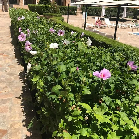 Apolon 8 Ravda Apartamento