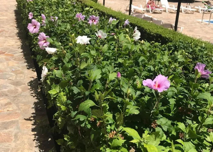 Apolon 8 Ravda Apartmán